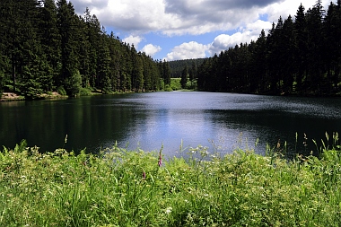 Mittlerer Grumbacher Teich (2) Oberharzer Wasserwirtschaft Bilder